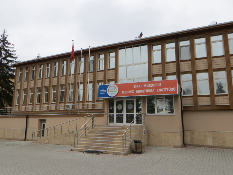 portfolio/zirai-mucadele 1